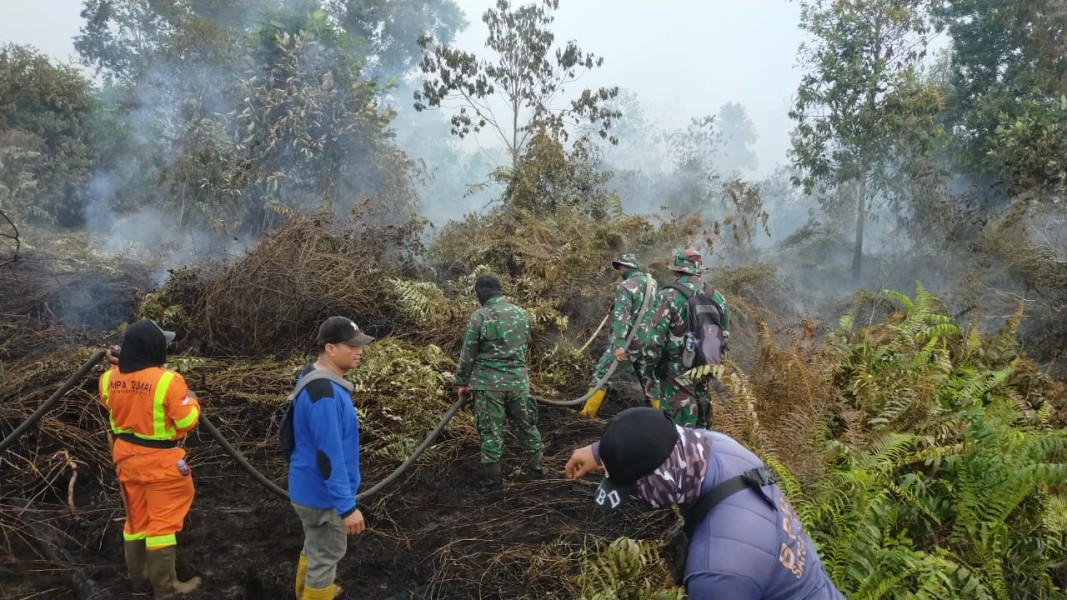 Karhutla di Lahan Gambut Bangsal Aceh, 1,5 Hektare Berhasil Dipadamkan