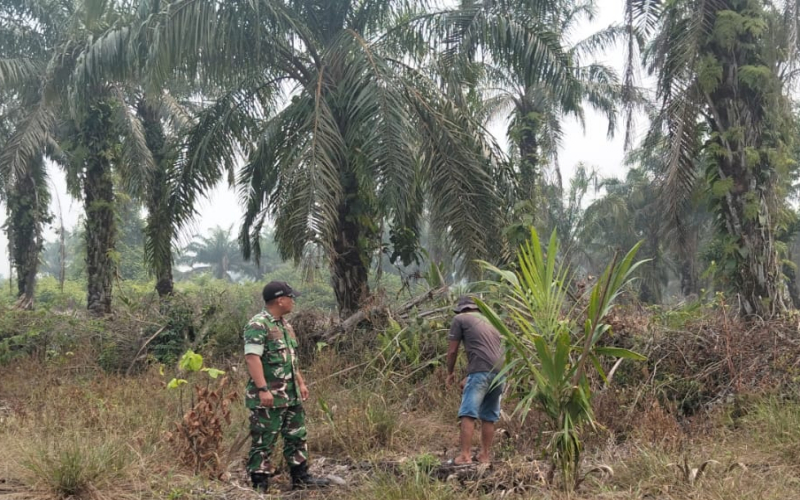 Babinsa Koramil 02/Bukit Kapur Gencarkan Patroli Karhutla di Bagan Besar
