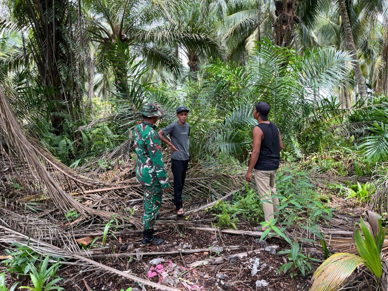 Babinsa Koramil 06/Kateman Kembali Patroli Tapal Batas untuk Antisipasi Karhutla di Beringin Mulya