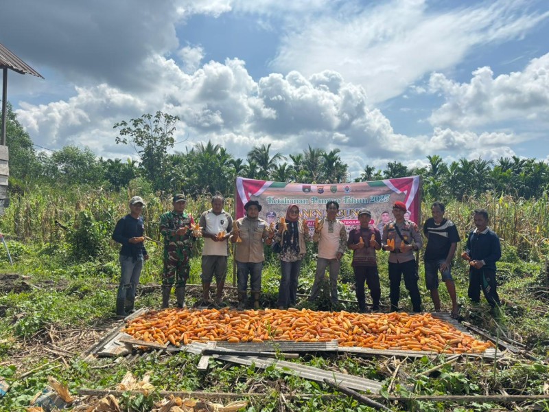 Panen Jagung di Tekulai Hulu Dukung Program Asta Cita Presiden