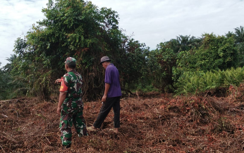 Babinsa Jalankan Program Karya Nyata dan Patroli Karhutla di Bagan Besar Timur