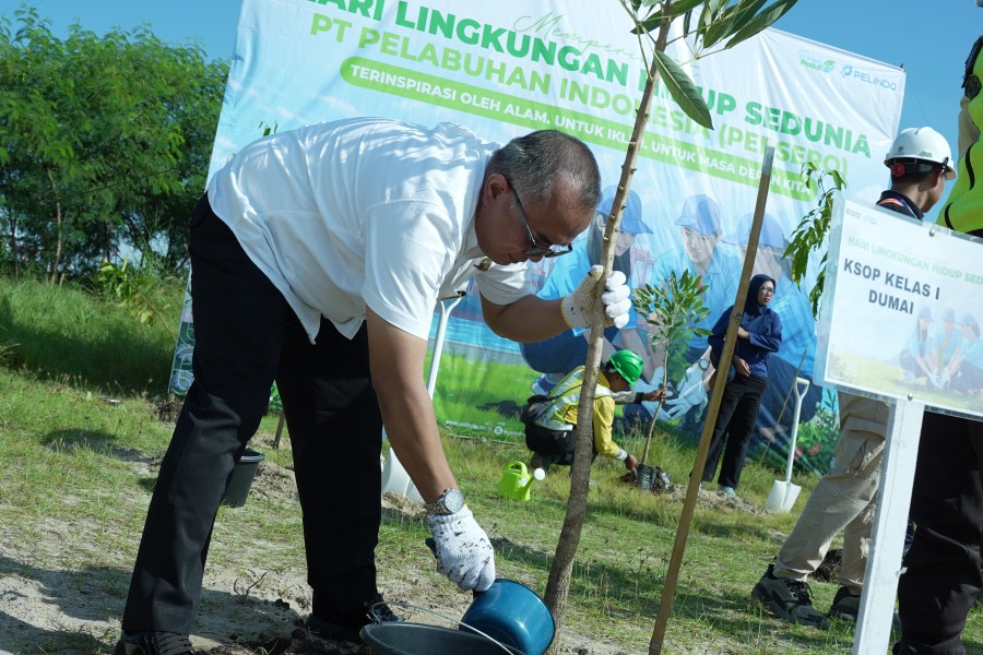 Peringati Hari Lingkungan Hidup Sedunia, Pelindo Multi Terminal Tanam 635 Pohon di Pelabuhan Dumai