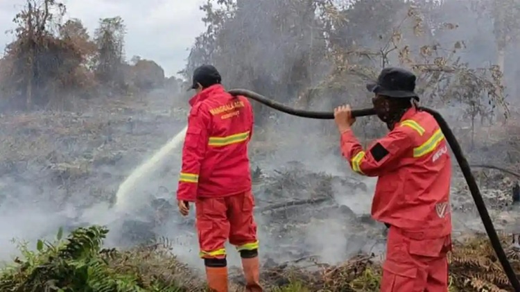 Riau Tetapkan Status Siaga Darurat Karhutla Hingga 30 November 2026
