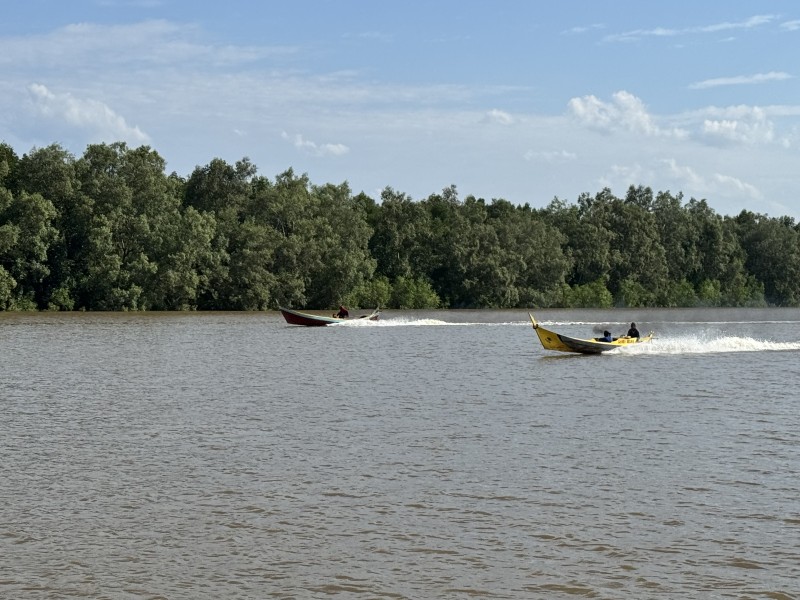 Pacu Pompong Jadi Magnet Wisata, Ekonomi Warga Ikut Berputar