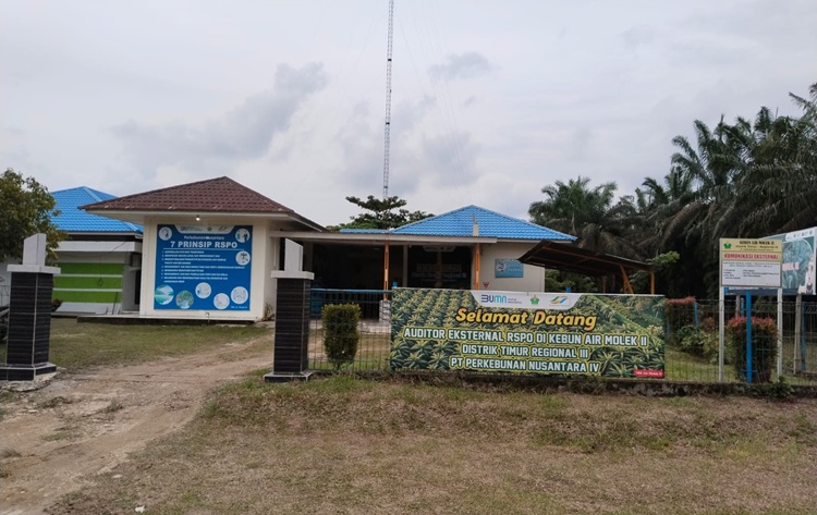 Produksi 40.984 Ton Sawit, Kinerja Operasional Air Molek Group PTPN IV Regional III Melesat Signifikan
