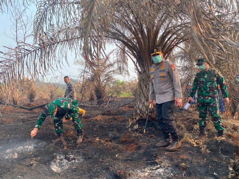 Kapolda-Pangdam Cek Karhutla Siak, Empat Wilayah Riau Jadi Atensi