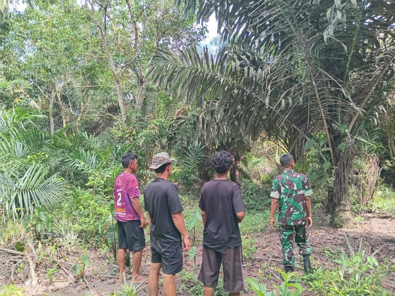 Serma Sri Wahyudi Laksanakan Patroli Karhutla di Lubuk Jering, Wilayah Aman Tanpa Titik Api