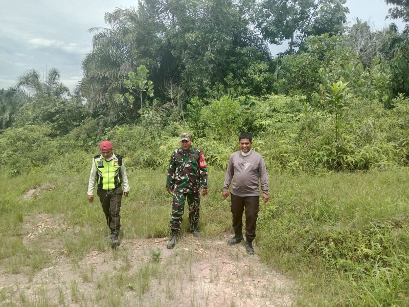 Babinsa Koramil 03/Minas Sertu Sugiarto Laksanakan Patroli Karhutla, Titik Api Nihil