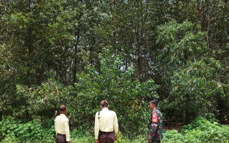 Bentuk Pencegahan Terjadinya Karhutla, Babinsa Rutin Patroli di Batu Teritip