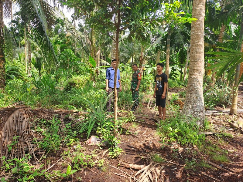 Babinsa Koramil 06/Kateman Gelar Patroli Tapal Batas Cegah Karhutla di Desa Penjuru