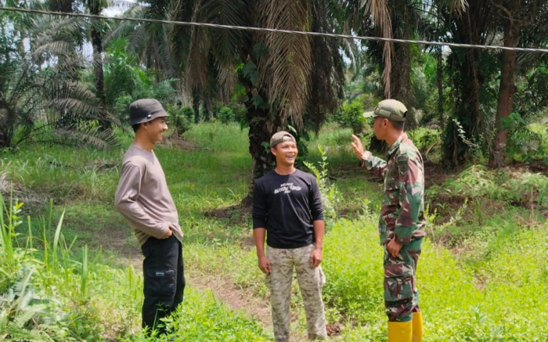 Babinsa Tanjung Penyembal Gencarkan Patroli Karhutla, Titik Api Nihil
