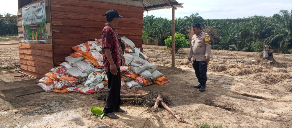 Polsek Minas Cek Kesiapan Lahan Jagung Pipil dan Salurkan 150 Sak Pupuk Kandang di Rantau Bertuah