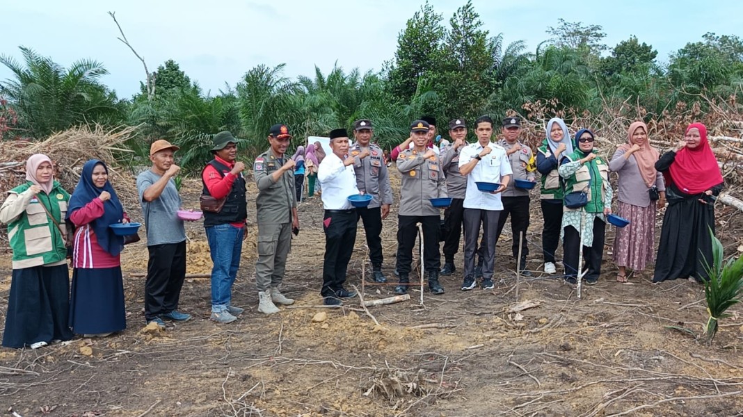 Polsek Bunut dan KWT Nusa Indah Tanam Jagung Hibrida 2 Hektare, Perkuat Swasembada Pangan dari Desa Merbau