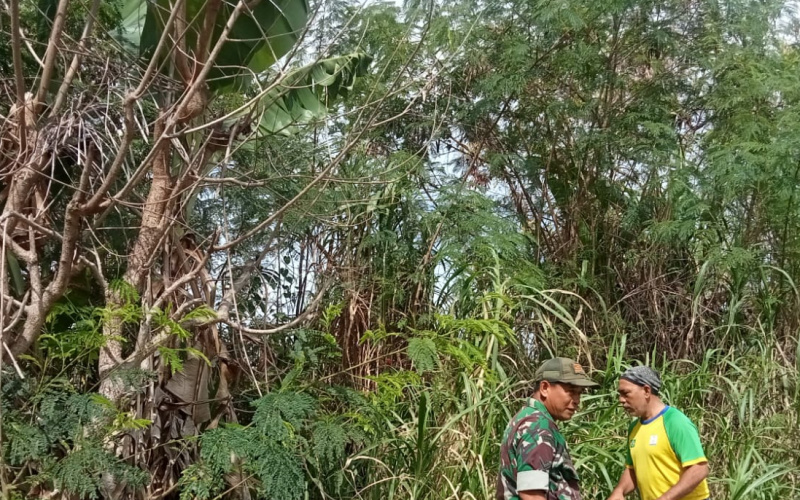 Koramil 01 Dumai Pastikan Lahan Pertanian Tetap Produktif Tanpa Merusak Lingkungan