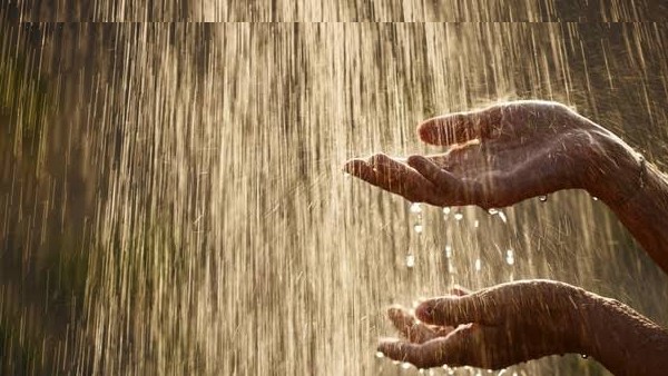 BMKG Perkirakan Potensi Hujan Meluas ke Seluruh Wilayah Riau Hari ini