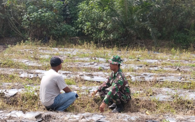 Situasi Aman, Patroli Karhutla di Basilam Baru Tidak Temukan Titik Api
