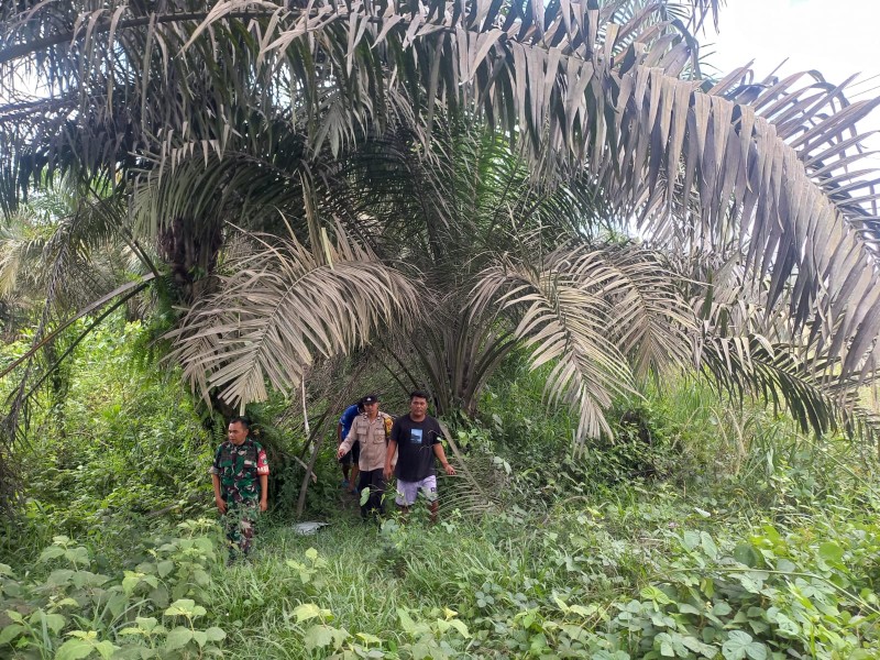 Babinsa Koramil 04/Perawang Gelar Patroli Karhutla, Tidak Ditemukan Titik Api.