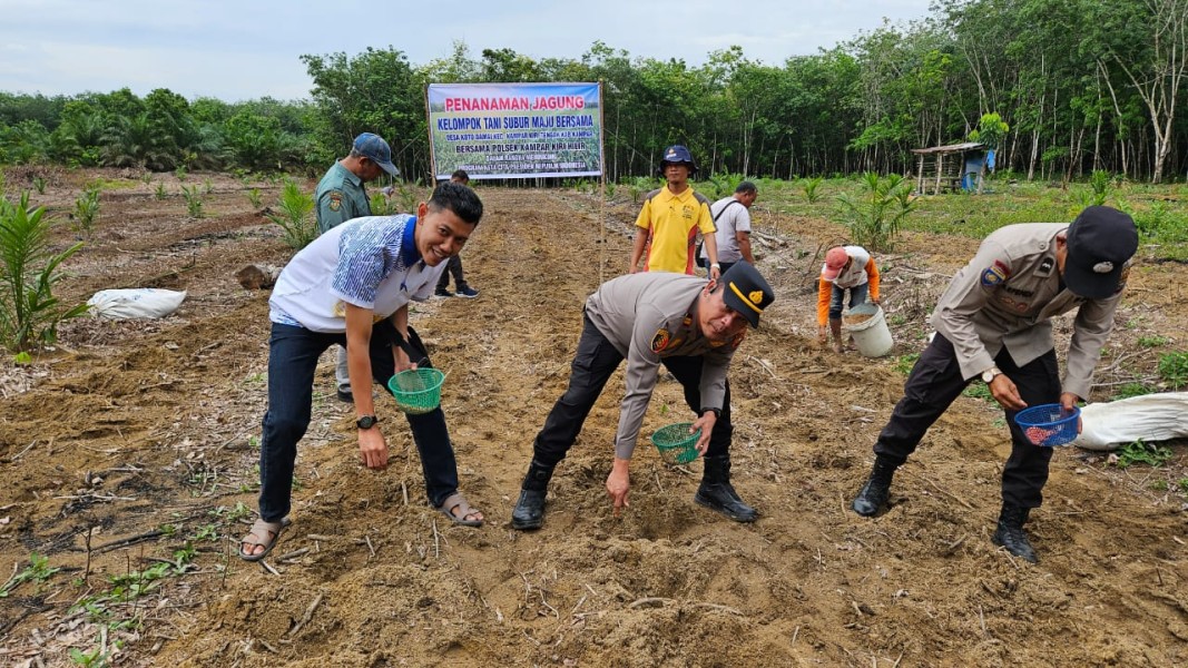 Polri Hadir untuk Petani Koto Damai! Kapolsek Kampar Kiri Hilir Turut Tanam Jagung, Berharap Hasil Panen Melimpah!