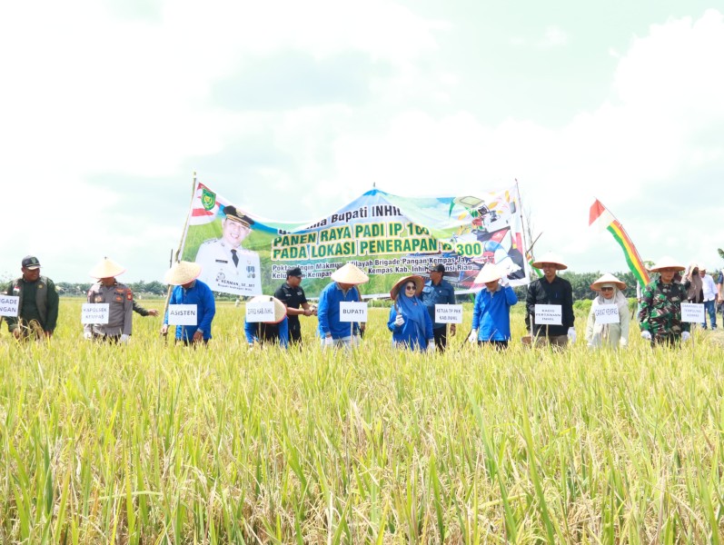 Panen Raya IP 300, Bupati Indragiri Hilir Optimis Pertanian Kempas Terus Melaju