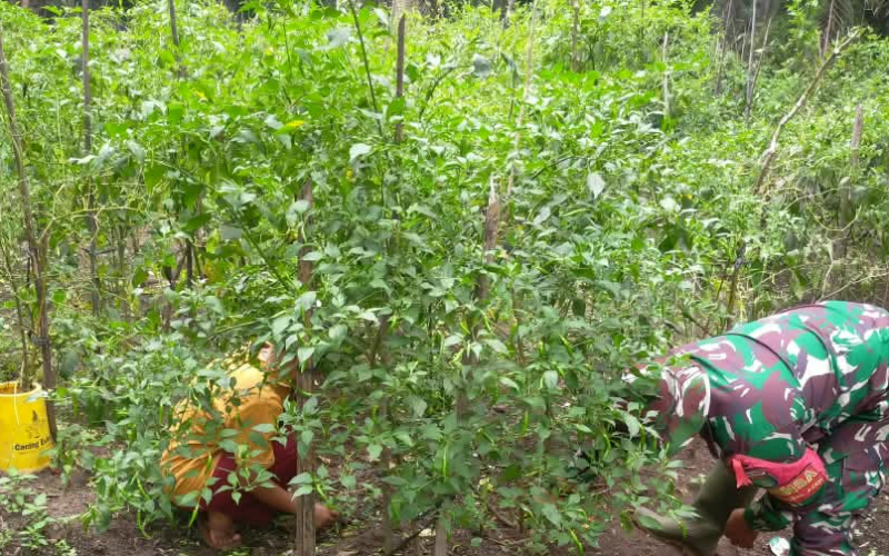 Cegah Gangguan Keamanan, Koramil 02 dan PHR Patroli Jalur Pipa Minyak di Dumai