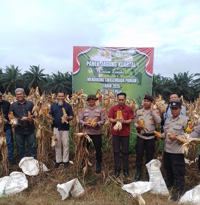 Asta Cita di Bumi Kampa, PT Tasma Puja dan Polsek Tambang Panen Jagung Kuartal I 2026