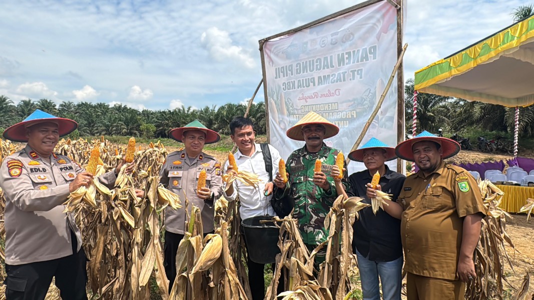 Dukung Ketahanan Pangan, Wakapolres Inhu Pimpin Panen Raya di PT Tasma Puja
