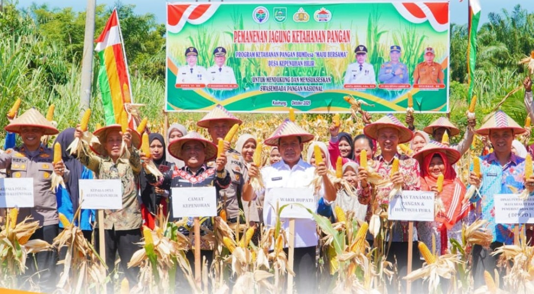 Wabup Syafaruddin Poti Hadiri Panen Jagung BUMDes Maju Bersama