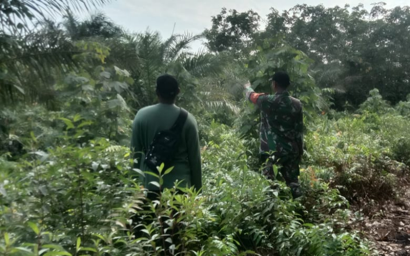 Antisipasi Karhutla, Babinsa Koramil 02/Bukit Kapur Turun Langsung ke Wilayah Binaan