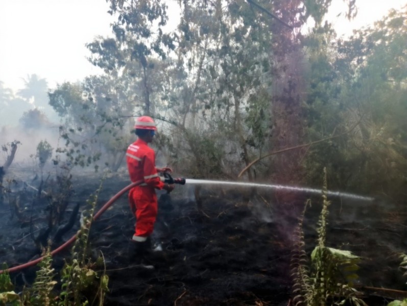 Respon Cepat Pertamina Dumai Bantu Padamkan Kebakaran di Tanjung Palas