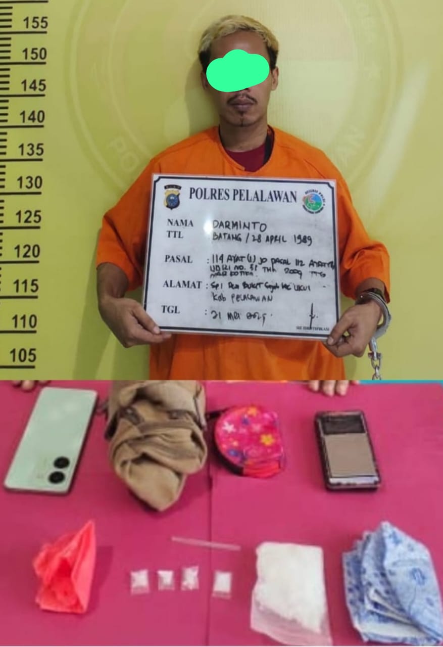 Gerebek Pasar Ukui, Tim Satresnarkoba Polres Pelalawan Ciduk Pengedar Sabu dengan Barang Bukti 51 Gram