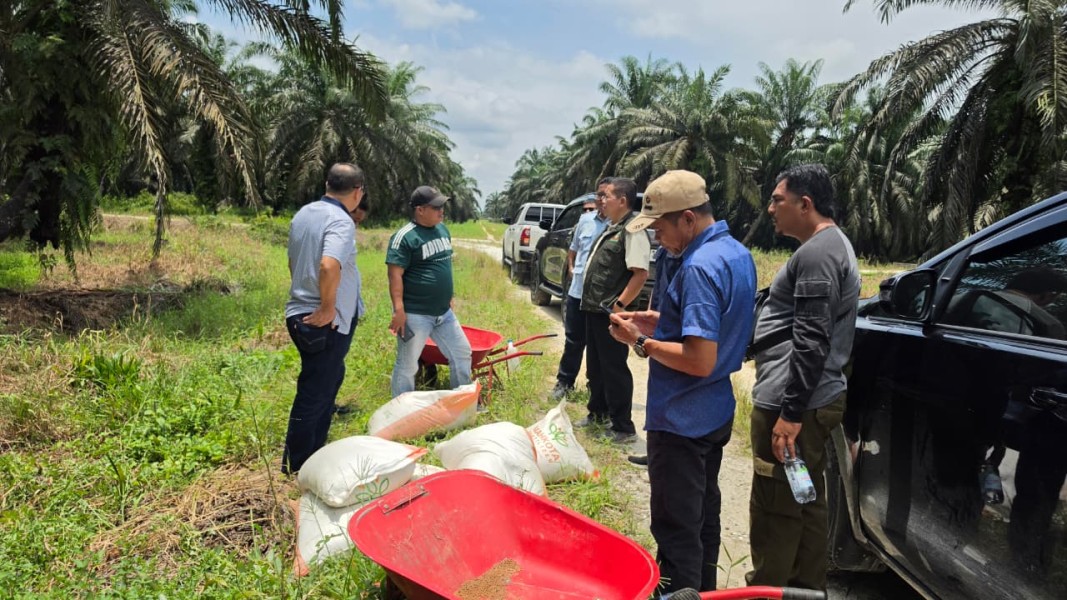 Kunjungan Mayjen TNI (Purn) Rudi Praselmilsa ke Kebun RJM, Apresiasi Kinerja Petani