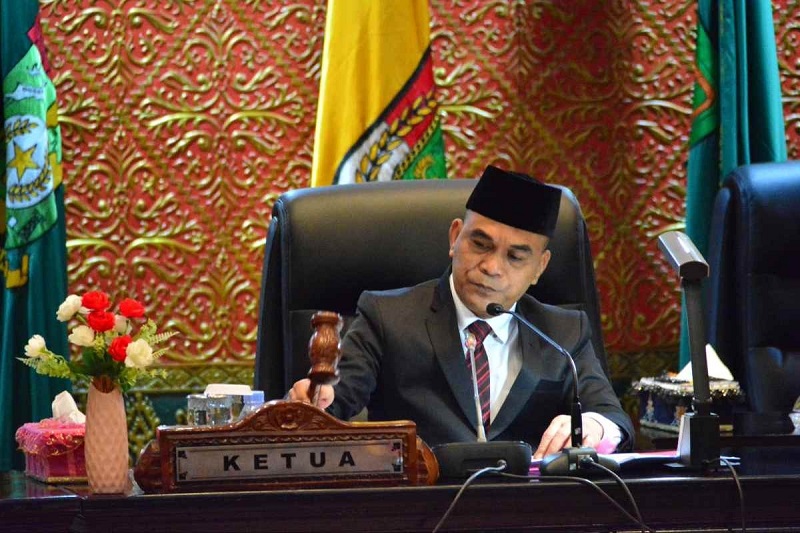 Ketua DPRD Riau Tegaskan Penanganan Tesso Nilo Perlu Sinergi Pusat dan Daerah