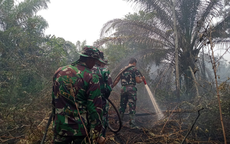 TNI Kodim 0320 Dumai Berjibaku Lakukan Pemadaman dan Pendinginan Karhutla