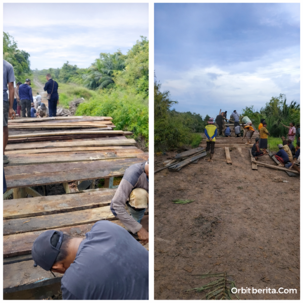 Jembatan yang Hampir Roboh, Harapan yang Tetap Berdiri: Kisah Gotong Royong Warga Senefis Menjaga Nafas Pertanian