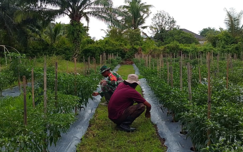 Cegah Kebakaran Lahan, Babinsa Turun Langsung Edukasi Warga Mundam