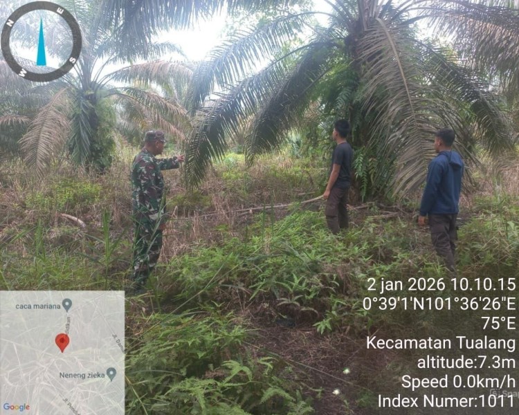 Babinsa Sertu Sarju Patroli Karhutla di Kampung Tualang, Pastikan Wilayah Aman dari Kebakaran
