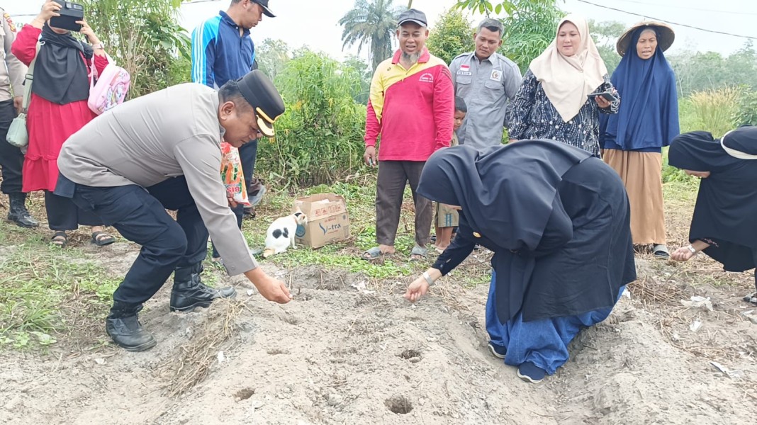 Swasembada Pangan Jagung Pipil Nasional, Polres Inhu Tanam hingga Pantau Perkembangan Tanaman