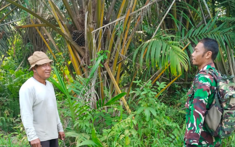 Patroli Rutin Babinsa di Lahan Gambut, Titik Api Nihil di Sungai Sembilan