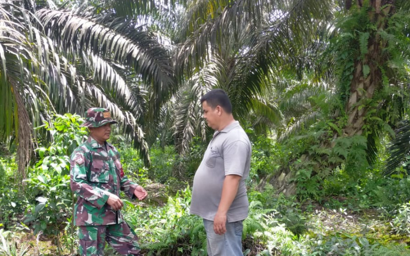 Babinsa Bangsal Aceh Gencarkan Patroli dan Sosialisasi Karhutla di Wilayah Rawan Kebakaran