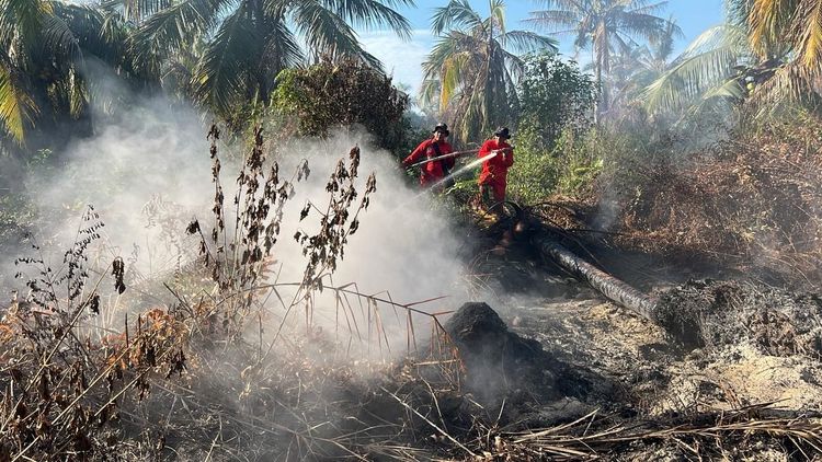 Manggala Agni Kemenhut Bergerak Cepat Padamkan Karhutla di Sejumlah Wilayah Riau