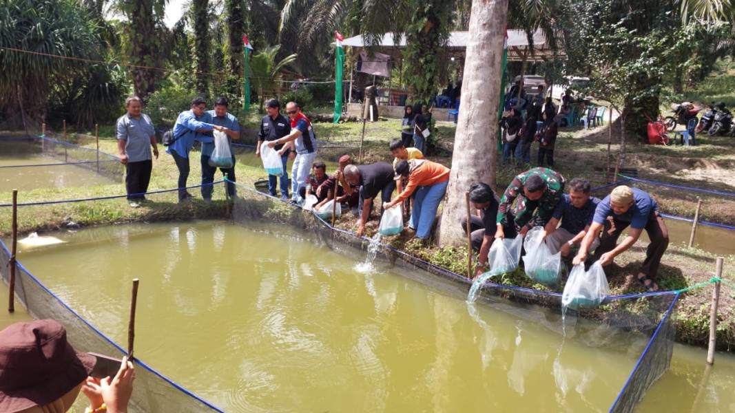 PHR, UMRI dan Pemerintah Kampung Minas Barat Gelar Pelatihan Budidaya Lele, Serahkan 10 Ribu Bibit Ikan