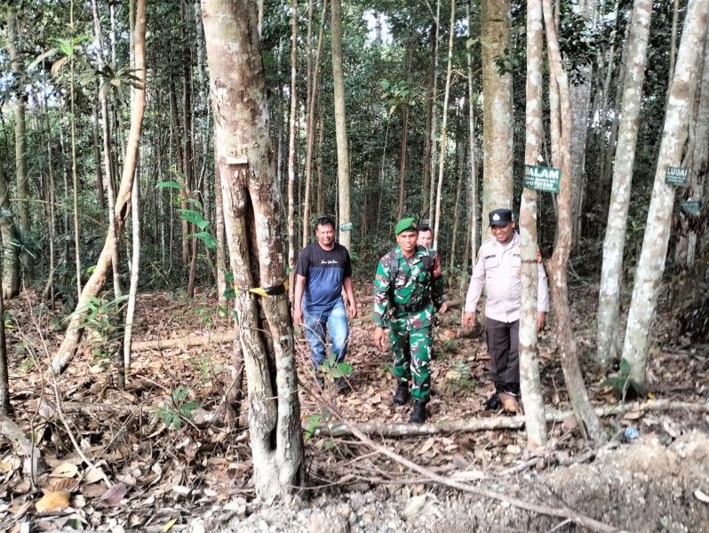 Babinsa Koramil Minas Koptu S Sembiring Laksanakan Patroli Karhutla, Pastikan Wilayah Aman Dari Titik Api