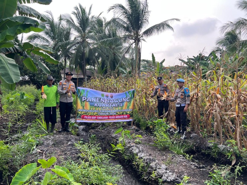 Panen Jagung di Pekan Arba, Polsek Kawasan Pelabuhan Tembilahan Dorong Ketahanan Pangan