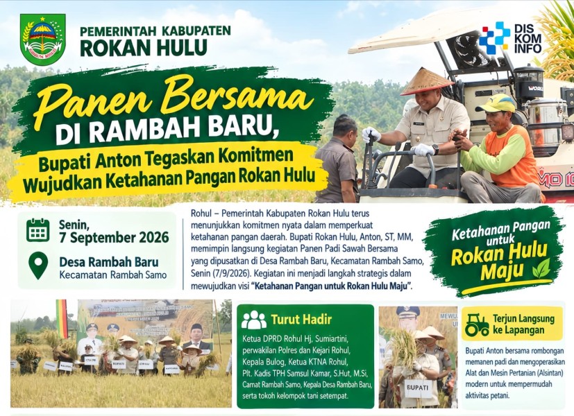 Panen Padi Rambah Baru Capai 8,9 Ton per Hektare, Pemkab Rohul Dorong Pertanian Jadi Penggerak Ekonomi