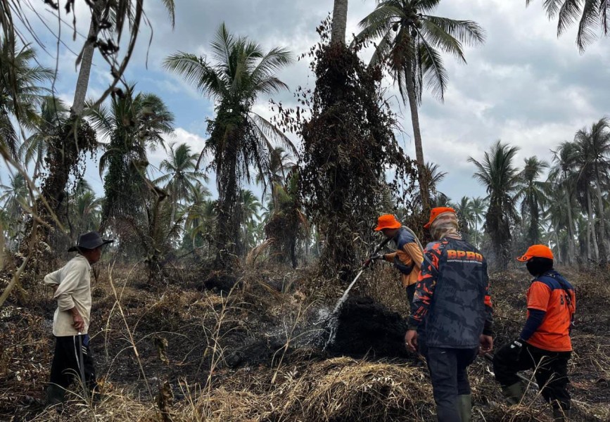Karhutla Capai 141,9 Hektar, BPBD Inhil Surati Provinsi Minta Bantuan Bom Air