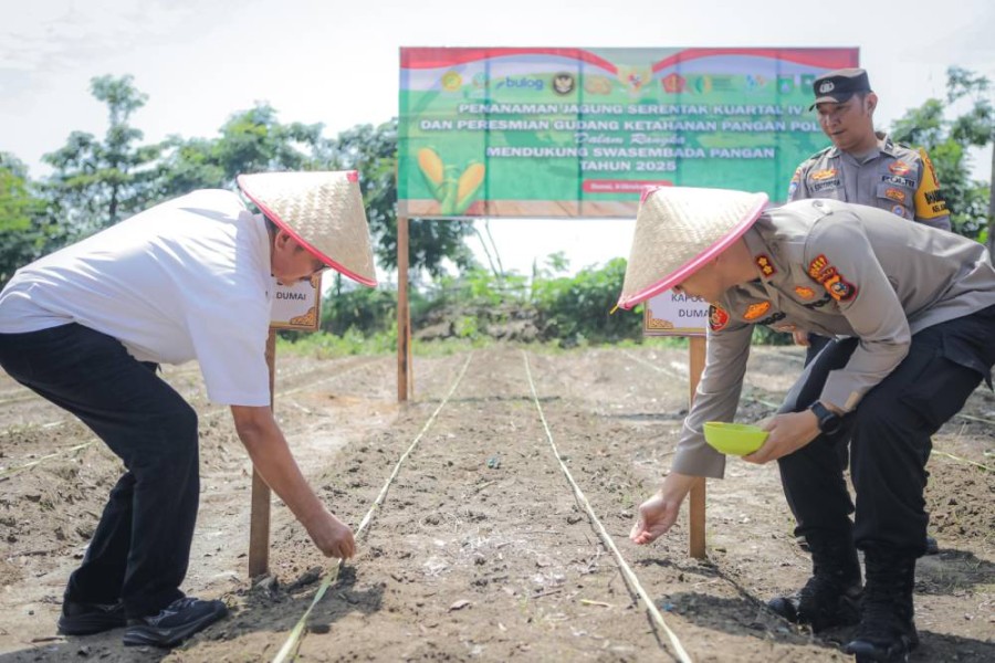 Polres dan Pemko Dumai Tanam Jagung Serentak, Dukung Ketahanan Pangan Nasional