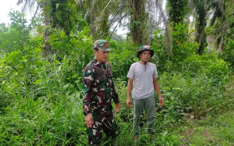 Patroli dalam Rangka Pencegahan Karhutla oleh Babinsa Bangsal Aceh