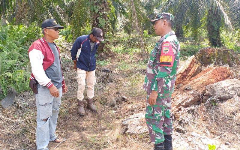 Di Wilayah Bukit Kapur, Babinsa Tek Henti Laksanakan Patroli Karhutla