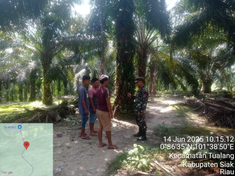 Babinsa Koramil 04/Perawang Gelar Patroli Karlahut di Tualang Timur, Tidak Ditemukan Titik Api