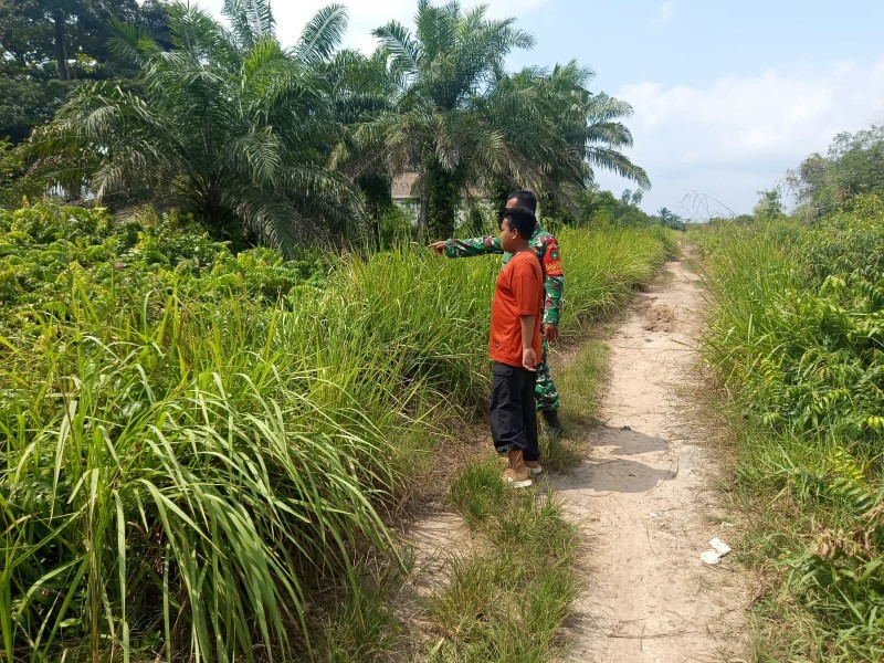 Patroli Karhutla, Babinsa Bagan Keladi Sosialisasikan Larangan Membakar Lahan